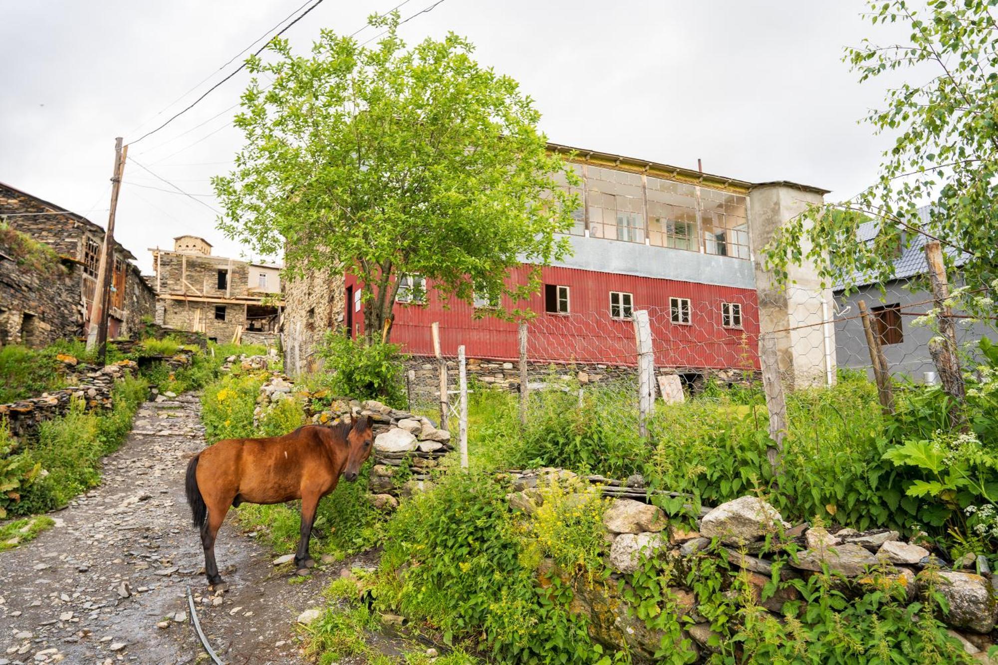 Guesthouse Svani Ushguli Zewnętrze zdjęcie